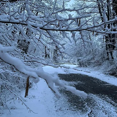 ゲストハウス Il カステル・ディ・サングロ