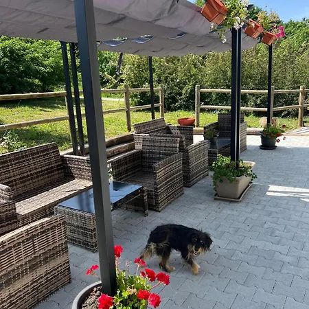 Il ゲストハウス