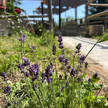 Il 3* カステル・ディ・サングロ