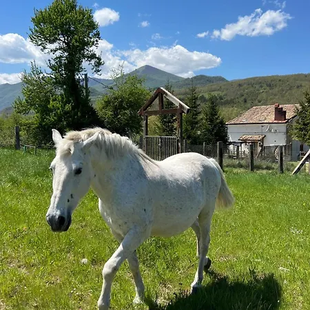 Il ゲストハウス カステル・ディ・サングロ