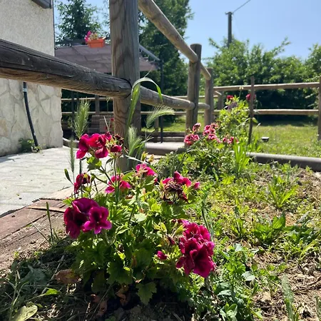 ゲストハウス Il 3*