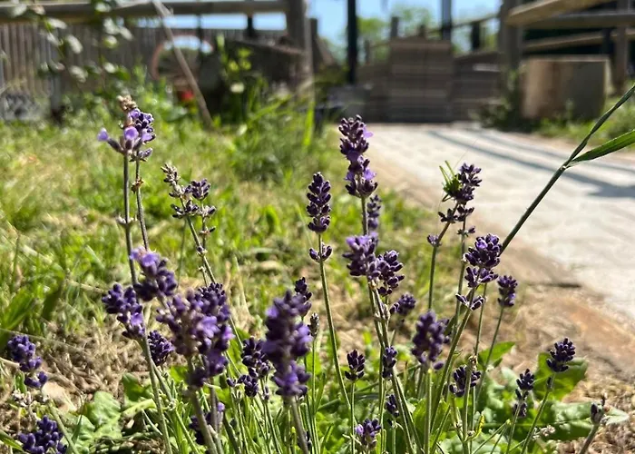 Il 3* Castel Di Sangro