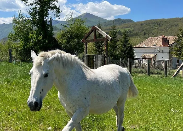 Il Pensión Castel Di Sangro